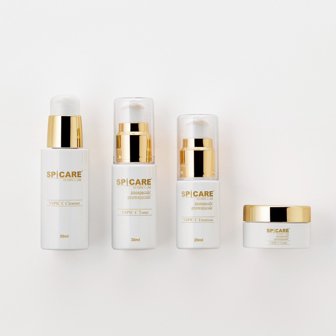 V3 VSPIC Cトラベルキット